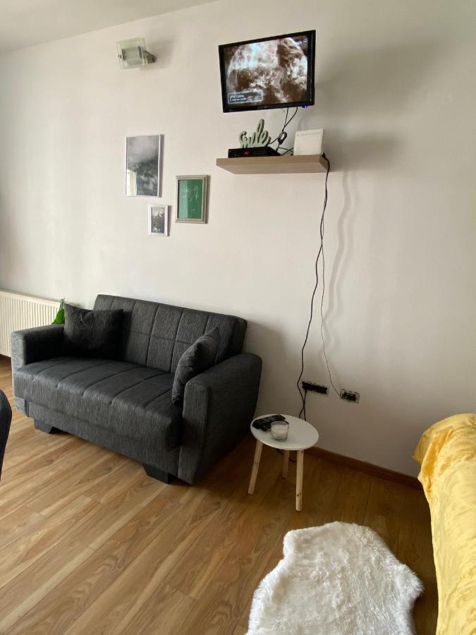 Green Studio Timişoara Eksteriør billede